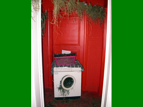 Was da so alles passiert!