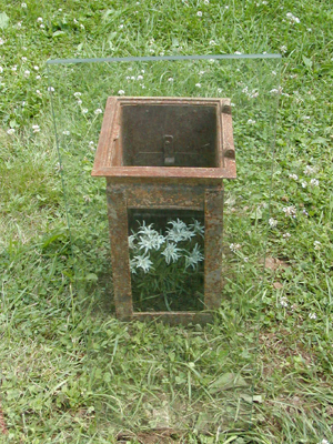 Margarete D&uuml;sterfeld-Baier